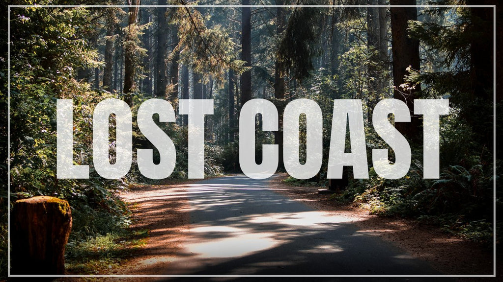 Exploring The Redwoods On California's Lost Coast | Trinidad CA